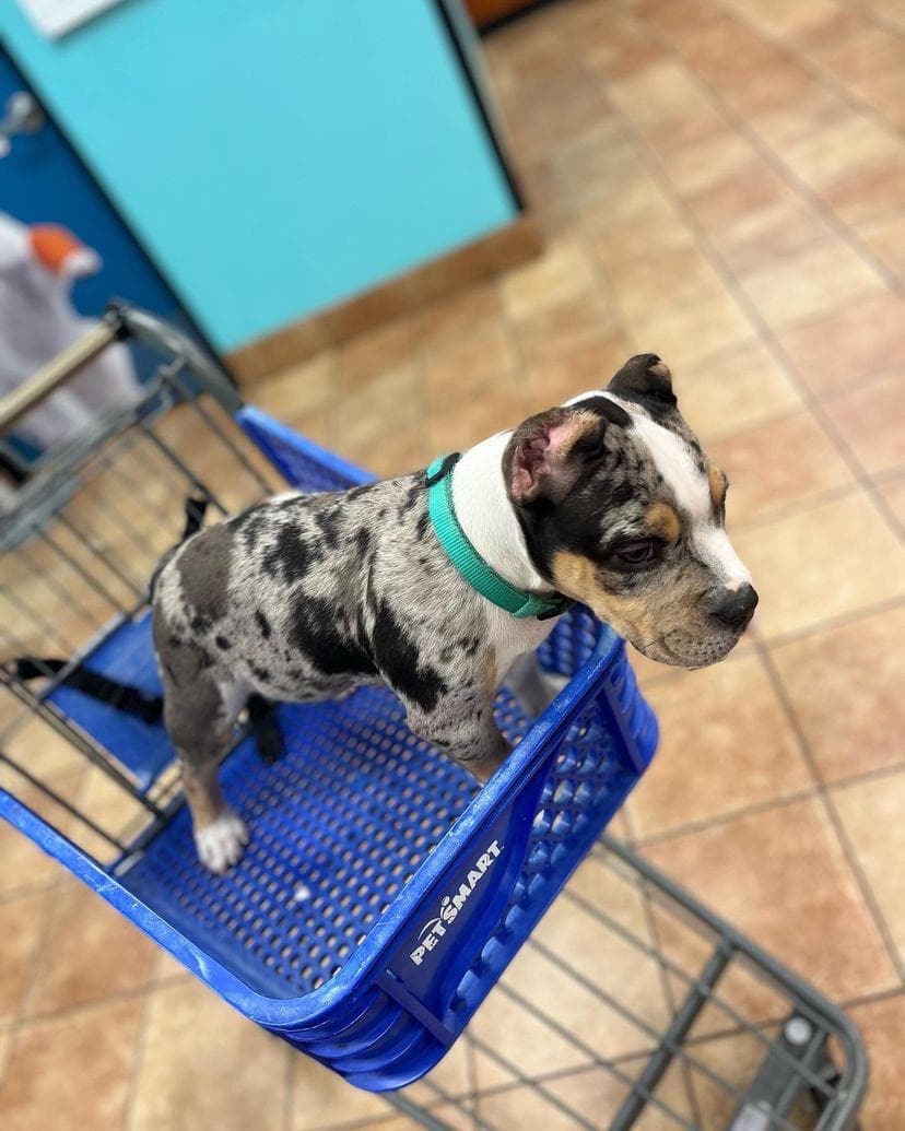 Kamila gallery image 2