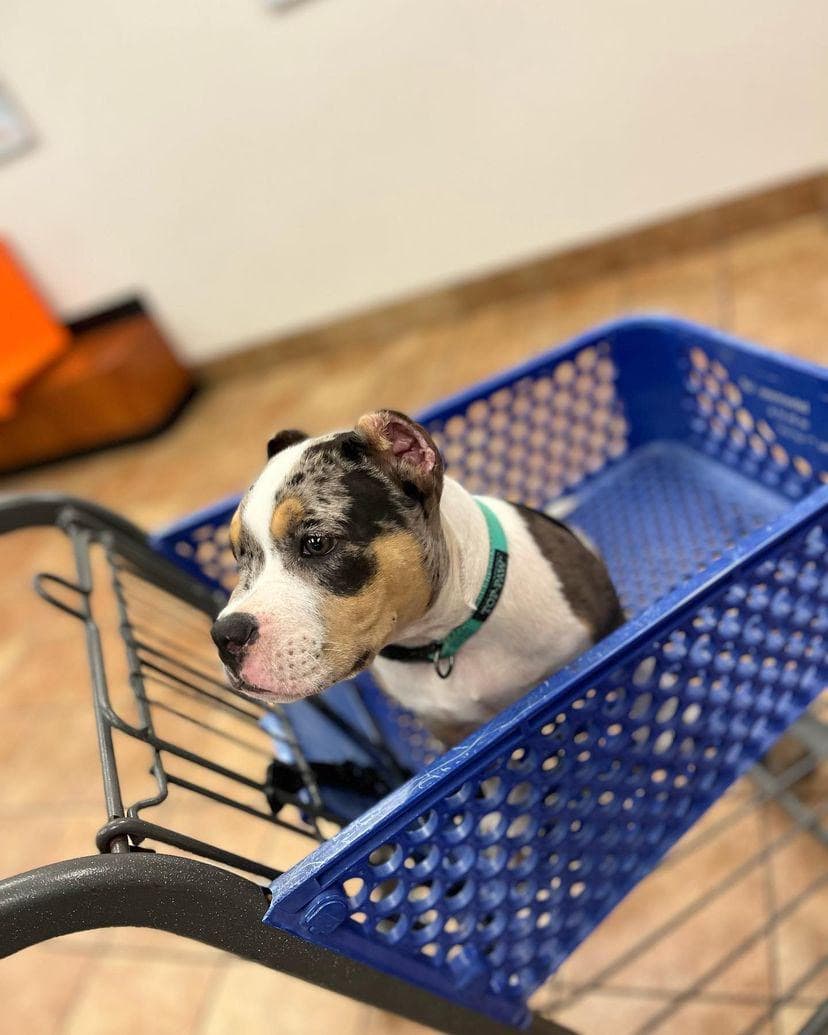 Kamila gallery image 3