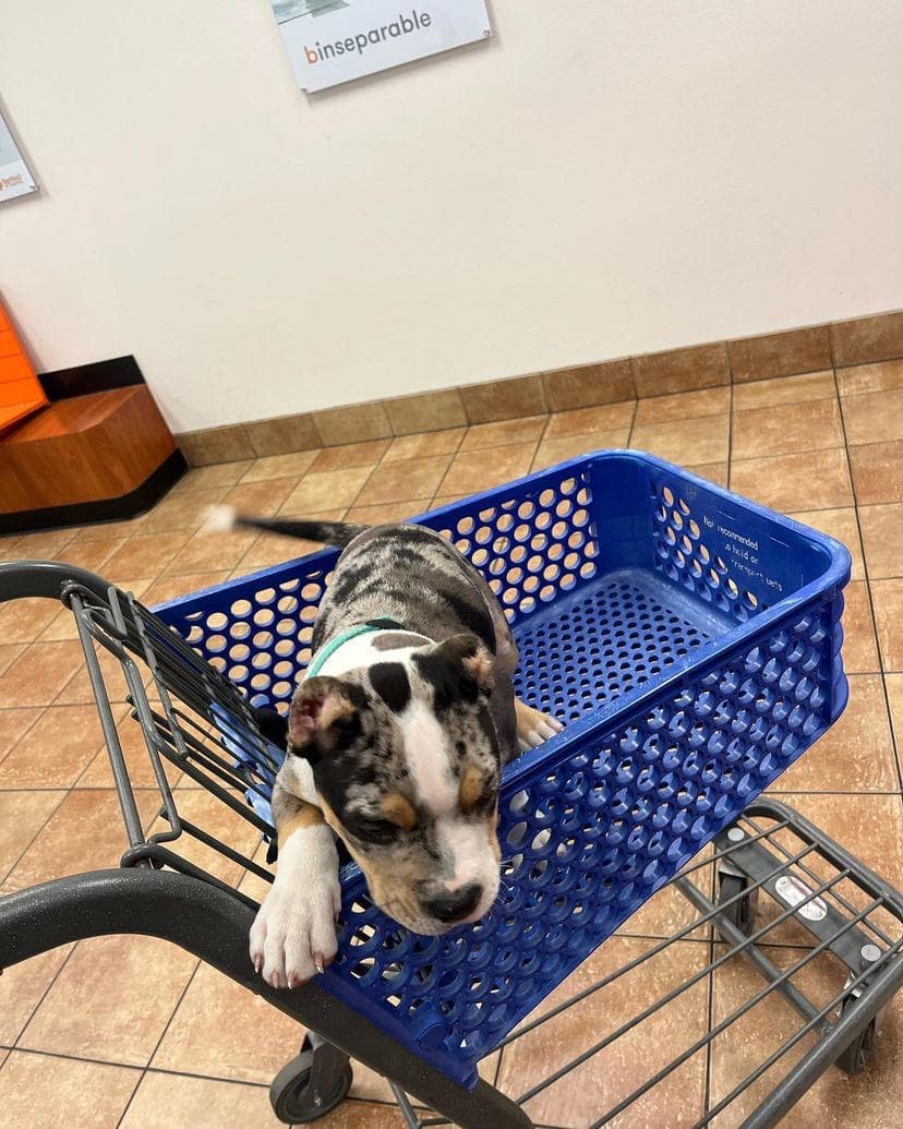 Kamila gallery image 4