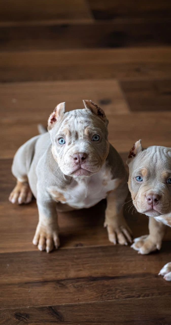 Nina gallery image 2